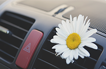 Hvordan bli kvitt lukten i bilen
