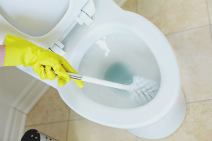 How to get rid of the smell in the toilet