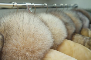 How to store a mink coat