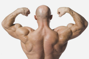 How to build muscle back