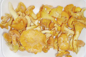 How to freeze chanterelles for the winter