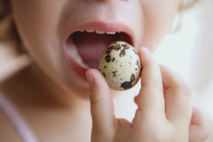 How to cook quail eggs for a child