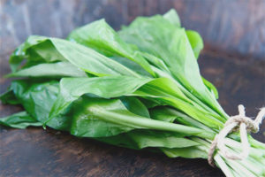 Sifat berguna dan kontraindikasi bawang putih liar