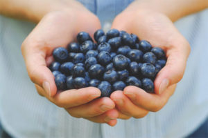 Blueberries during pregnancy