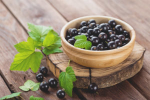Användbara egenskaper och kontraindikationer av svarta vinbär