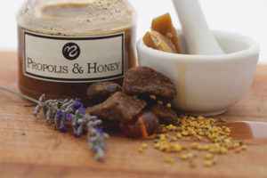 Useful properties and contraindications of propolis