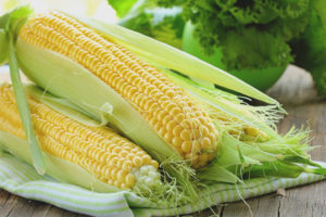 Dojčenie kukurice