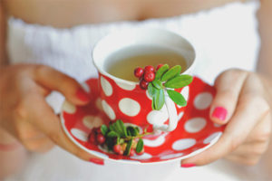 Sifat berguna dan kontraindikasi teh lingonberry