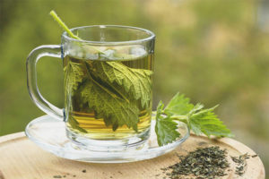 Os benefícios e malefícios do chá de urtiga
