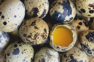 Výhody a škody na prepeličích vaječných škrupinách
