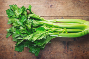 Dojenje celera