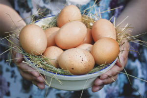Kan gravida äta ägg