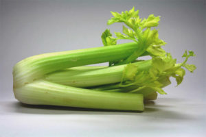 Mohou těhotné ženy jíst celer