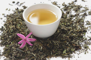 How to consume white tea for weight loss