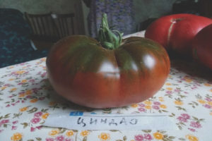Qingdao tomat