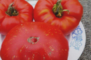 Fajerwerki Pomidorowe