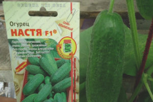 Cucumber Nastya F1