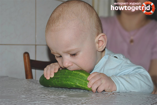 Hangi yaşta bir çocuğa salatalık verilebilir