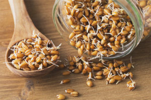 Què és útil el blat germinat