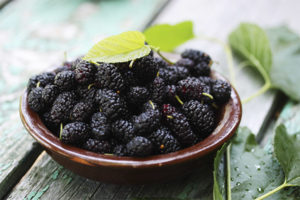 Apa yang berguna untuk mulberry